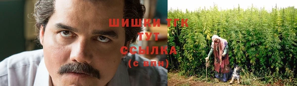 ALPHA PVP Покачи
