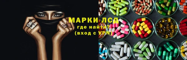 прущие грибы Ельня