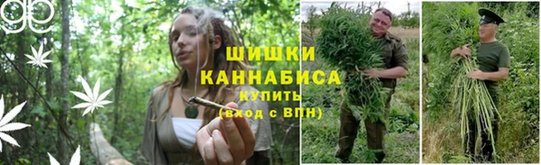 apvp Покров
