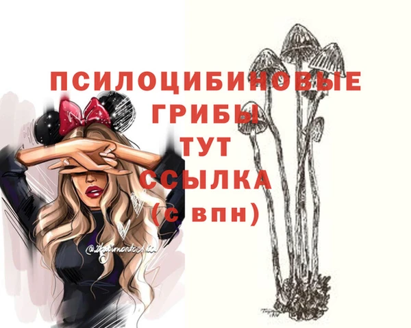 ALPHA PVP Покачи