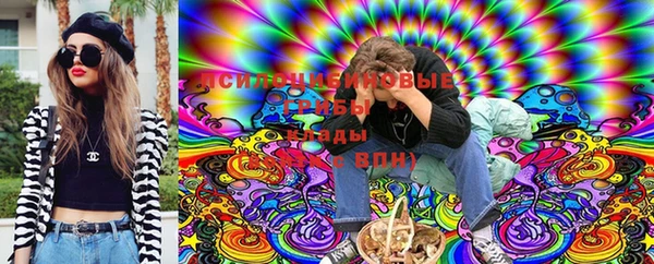 прущие грибы Ельня