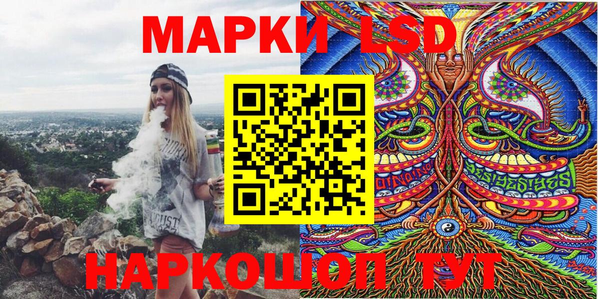 Псилоцибиновые грибы Александров