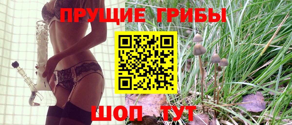 Галлюциногенные грибы Psilocybine cubensis Александров