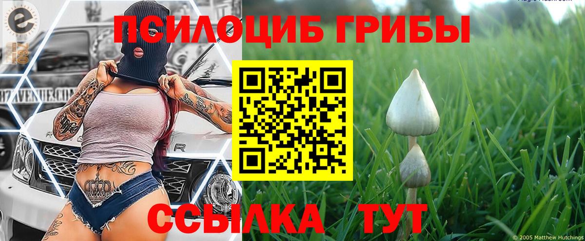 Александров  Галлюциногенные грибы мухоморы  Галлюциногенные грибы GOLDEN TEACHER  Вход с VPN 