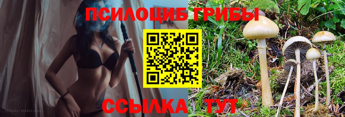 Александров  Псилоцибиновые грибы GOLDEN TEACHER  Вход с VPN 
