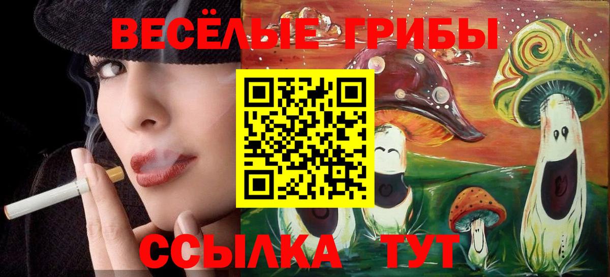 Псилоцибиновые грибы Psilocybe Александров